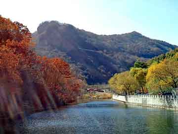 新澳天天开奖资料大全旅游团，多多淘宝客